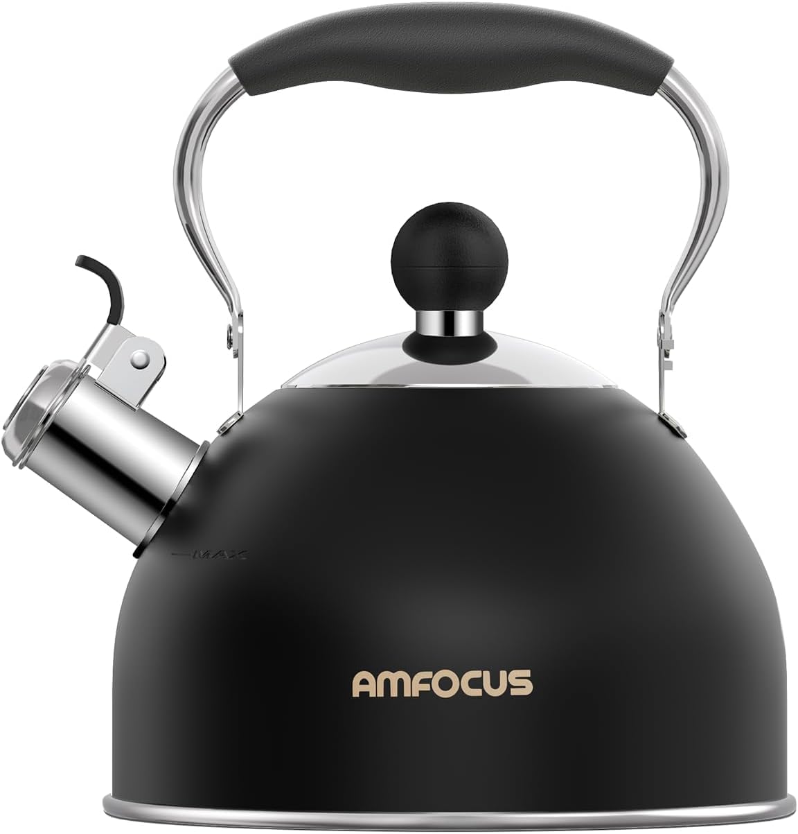 Black Steel Tea Kettle