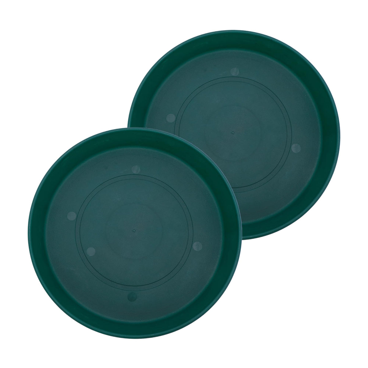 Evergreen Plant Saucers (Set of 2)