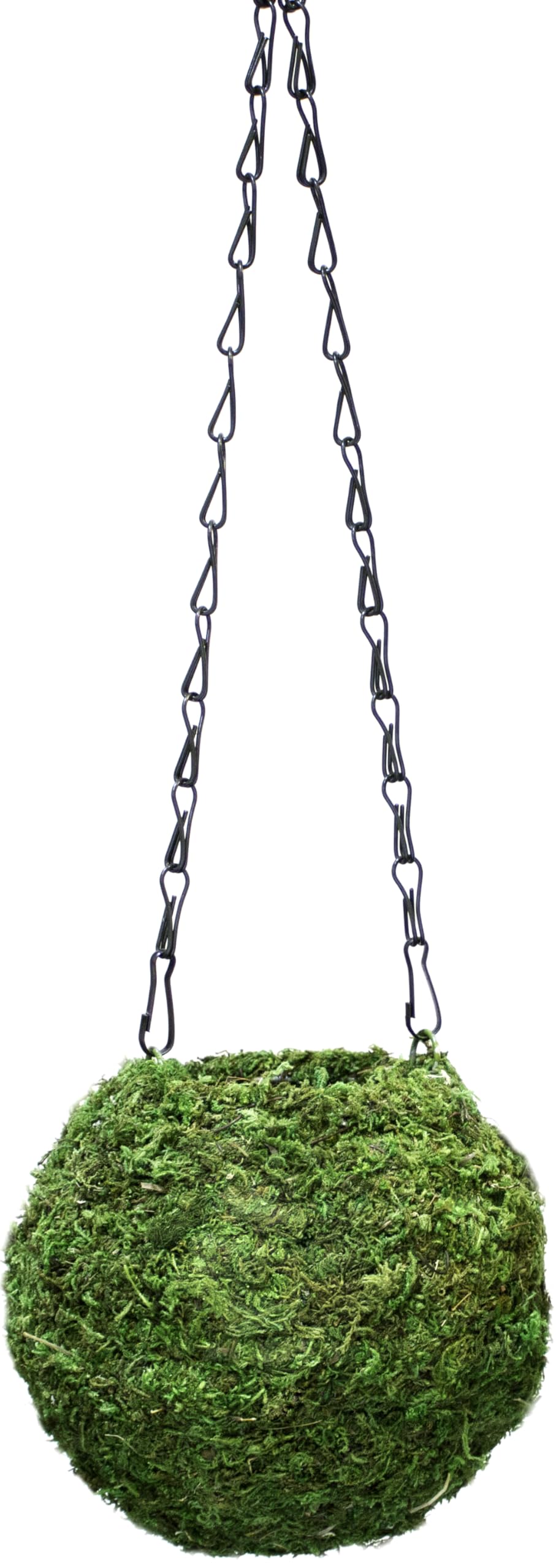 Green Kokedama Planter