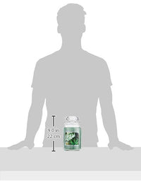 Eucalyptus Mint Candle