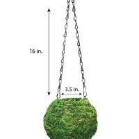 Green Kokedama Planter