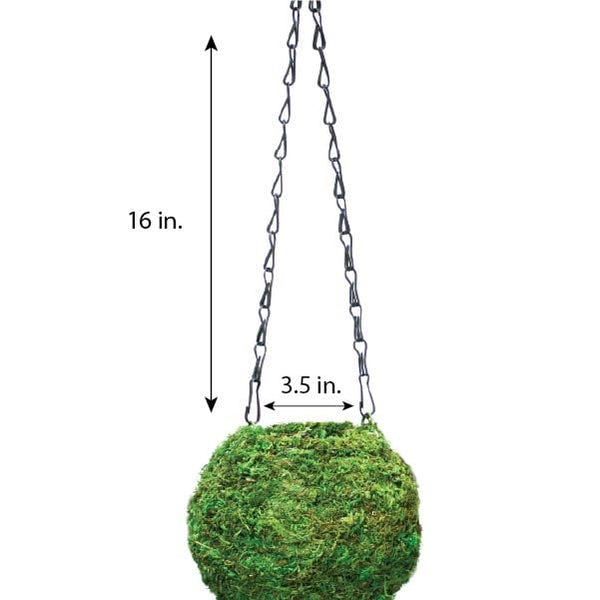 Green Kokedama Planter