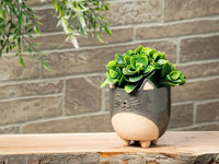 Cat on Legs Planter