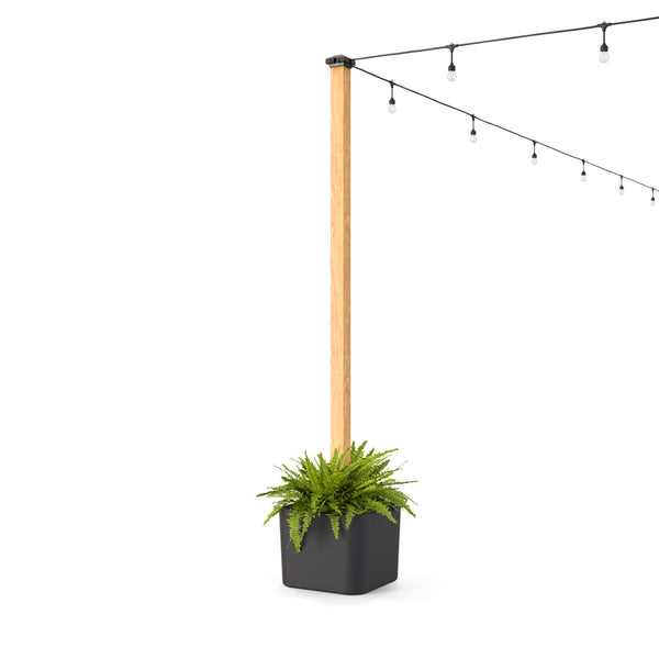 Black Light Pole Planter