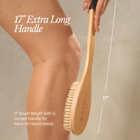 Natural Dry Body Brush