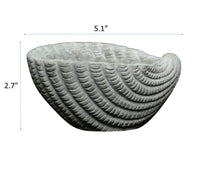 Gray Cement Seashell Planter