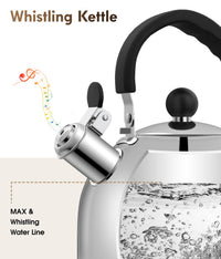 Silver Steel Tea Kettle