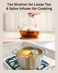 Steel Tea Infuser Balls (Set of 2)