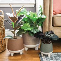 Greige Self-Watering Planter (Set of 3)