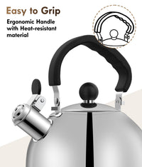 Silver Steel Tea Kettle