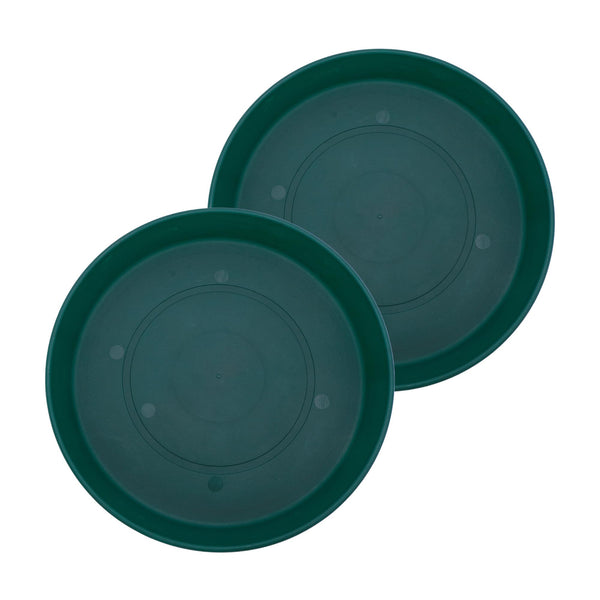 Evergreen Plant Saucers (Set of 2)
