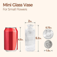 Clear Glass Bud Vases (Set of 6)