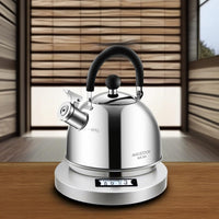Silver Classic Tea Kettle