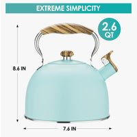 Blue Stovetop Tea Kettle