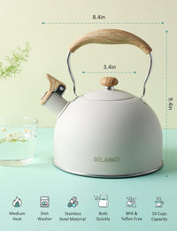 Milk White Tea Kettle