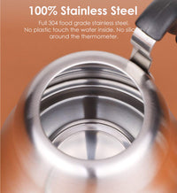 Brushed Gooseneck Kettle