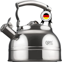 Silver Steel Whistling Kettle