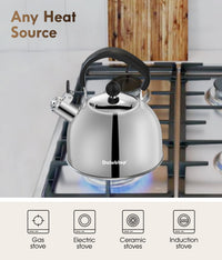 Silver Steel Tea Kettle