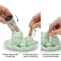 Green Frog Incense Holder (Set of 4)