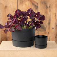 Matte Black Cylinder Planter