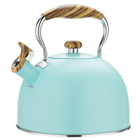 Blue Stovetop Tea Kettle