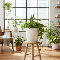 Matte White Stoneware Planter