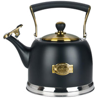 Black Stainless Steel Teapot