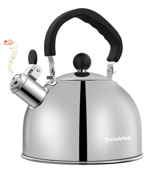 Silver Steel Tea Kettle
