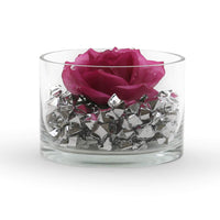 Clear Glass Candle Holders (Set of 12)