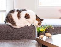 Cat on Legs Planter