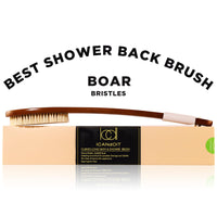 Brown Boar Bristle Bath Brush