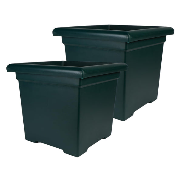 Evergreen Square Planter (Set of 2)