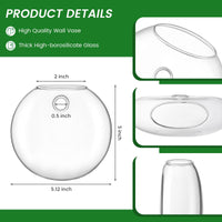 Glass Wall Propagation Vases (Set of 6)