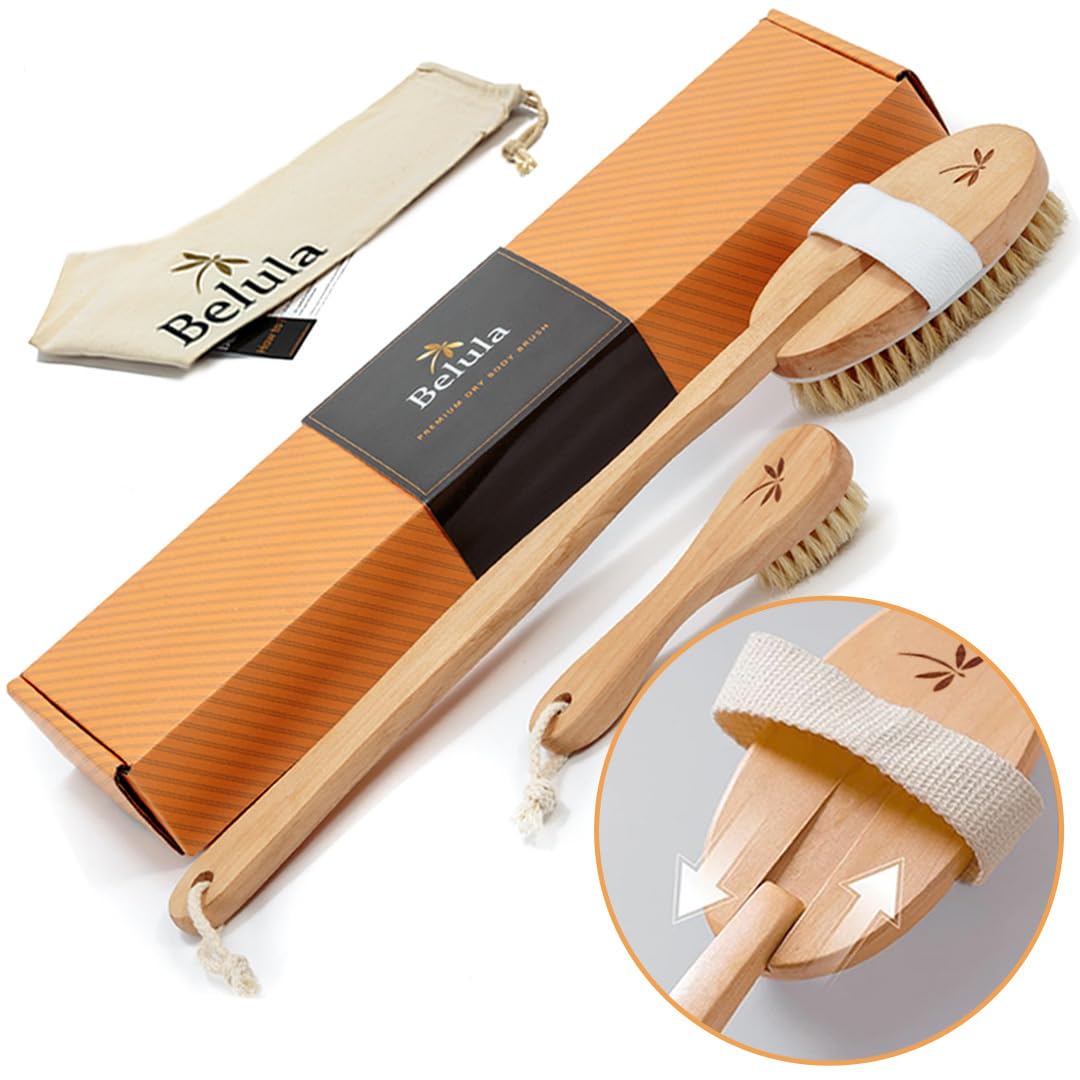Dry Body Brush Set (Set of 4)