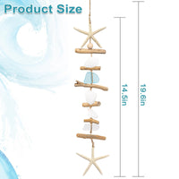 Driftwood Starfish Wall Decor (Set of 2)