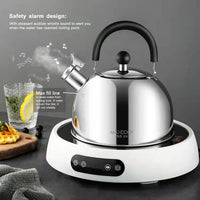 Silver Classic Tea Kettle