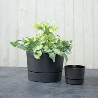 Matte Black Cylinder Planter