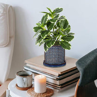 Blue Hobnail Planter Pots (Set of 2)