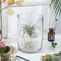Clear Glass Hurricane Candle Holder (Set of 2)
