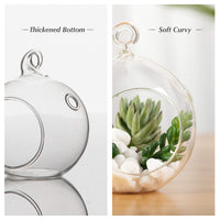 Clear Glass Terrarium Globe (Set of 6)