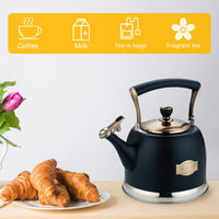 Black Stainless Steel Teapot