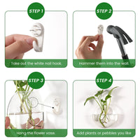 Glass Wall Propagation Vases (Set of 6)