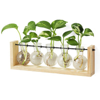 Beige Wood Propagation Stand