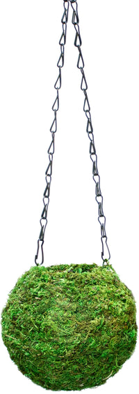 Green Kokedama Planter