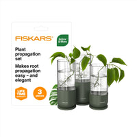 Glass Propagation Vase (Set of 3)