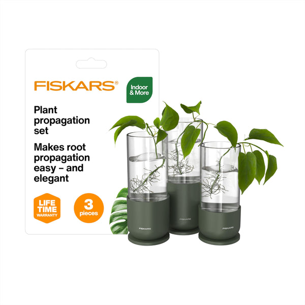 Glass Propagation Vase (Set of 3)
