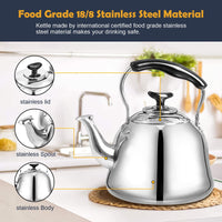 Silver Tea Kettle