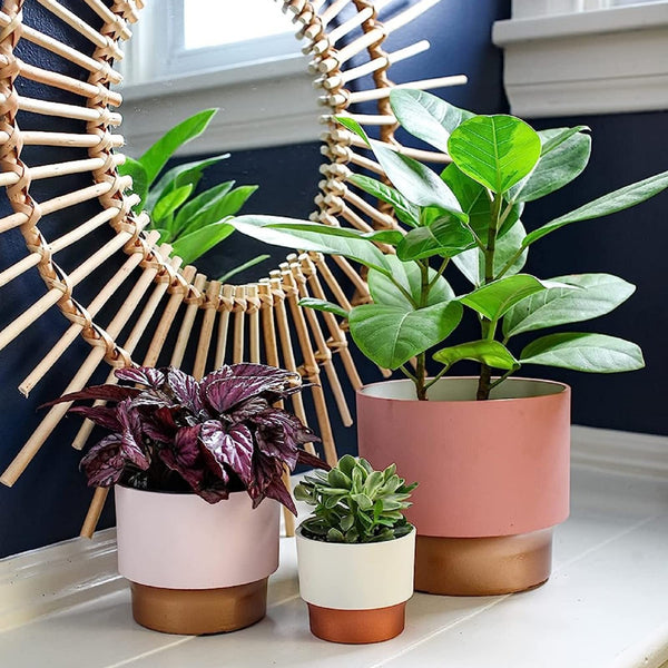 Vanilla Copper Succulent Pot