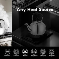 Polished Steel Tea Kettle