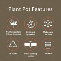 Brown Planter Pots (Set of 3)